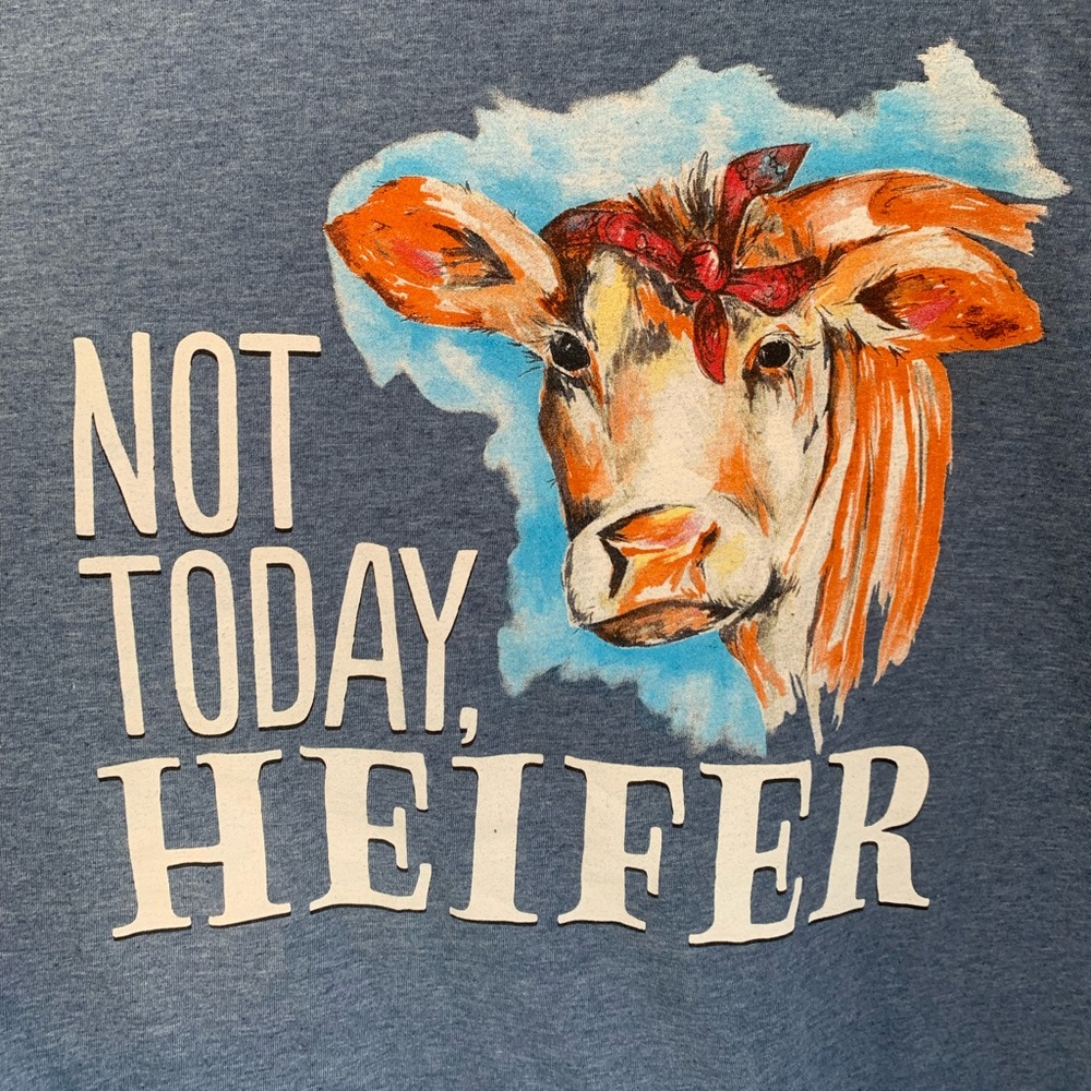Funny “Not Today Heifer” tshirt from Southern Couture.
